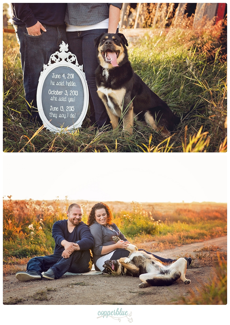 Engagement photos with dog
