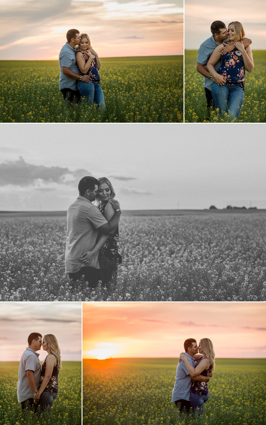 sunset engagement pictures in a canola field