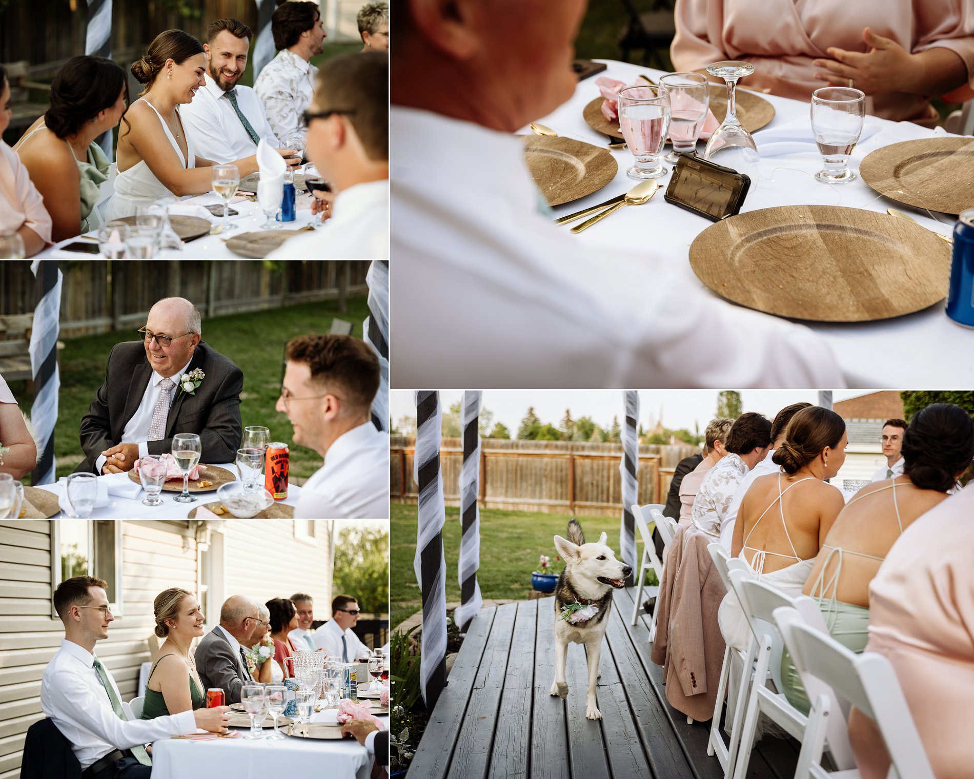 Families share a meal outside at a backyard wedding reception.