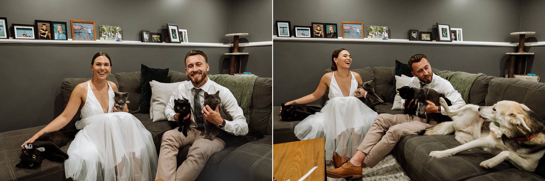 A Saskatoon bride and groom pose for a family photo with their four cats.