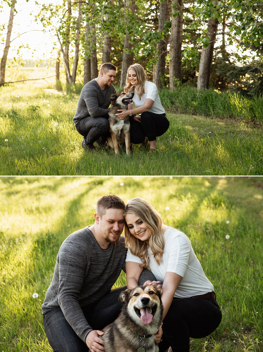 engagement pictures with your dog