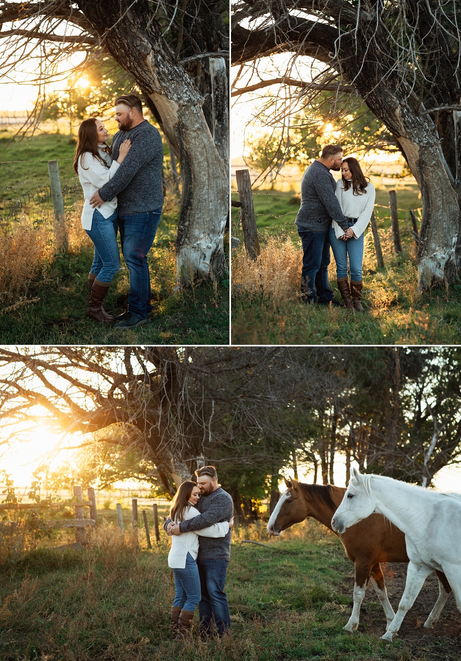 prince albert engagement photos with horses