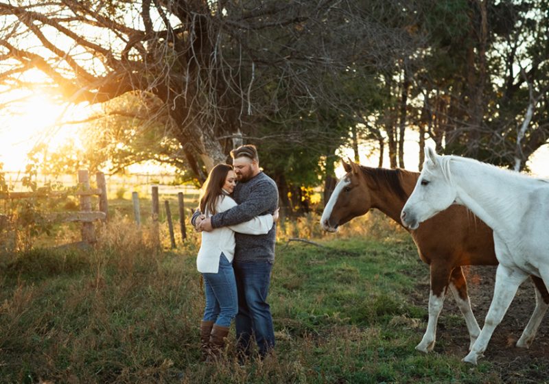 Prince Albert Engagement Photos with Horses | Leisa and Zac