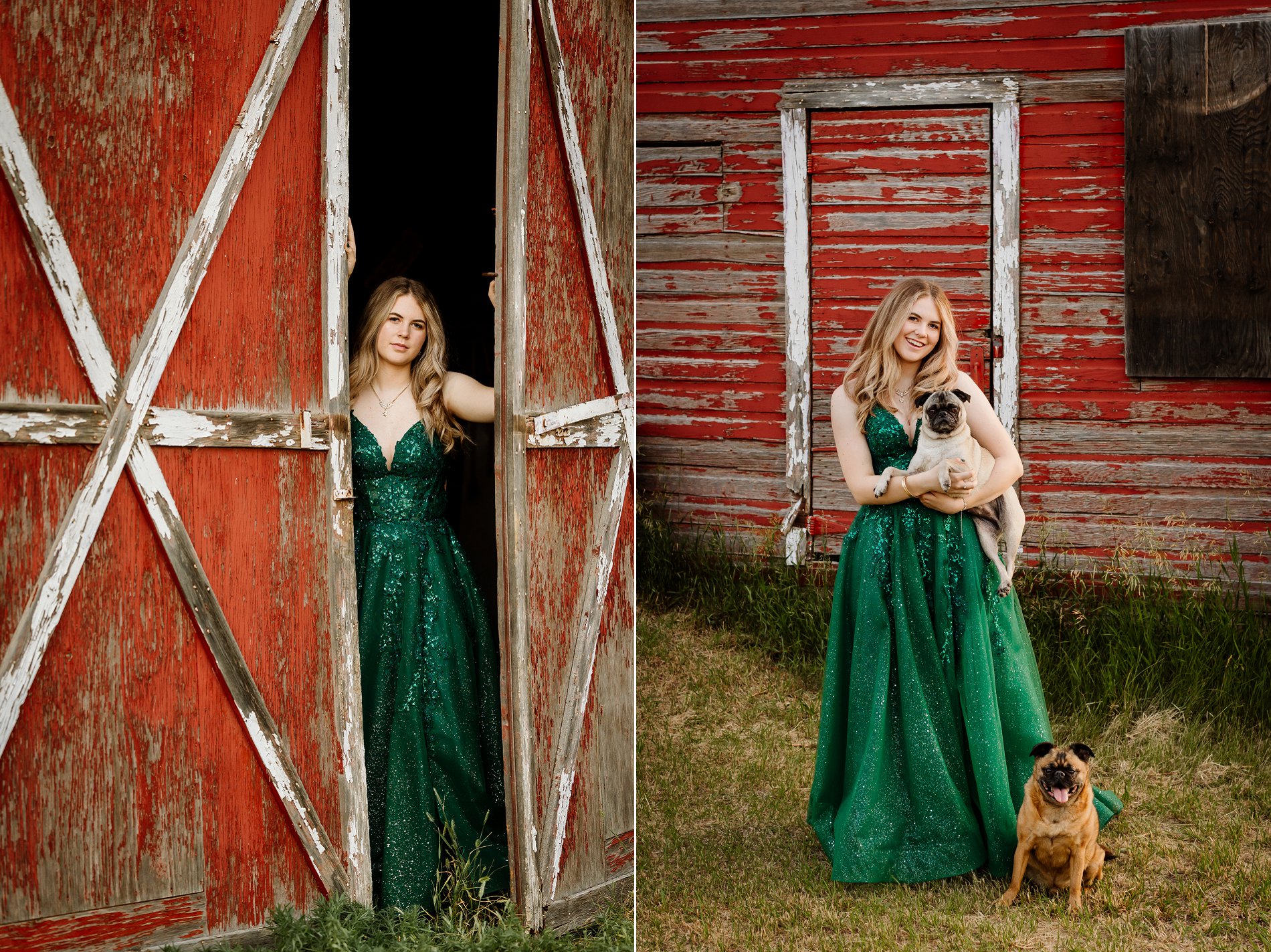 Graduation photos with dogs, LCBI graduate holding two pugs for her photoshoot at the family farm.