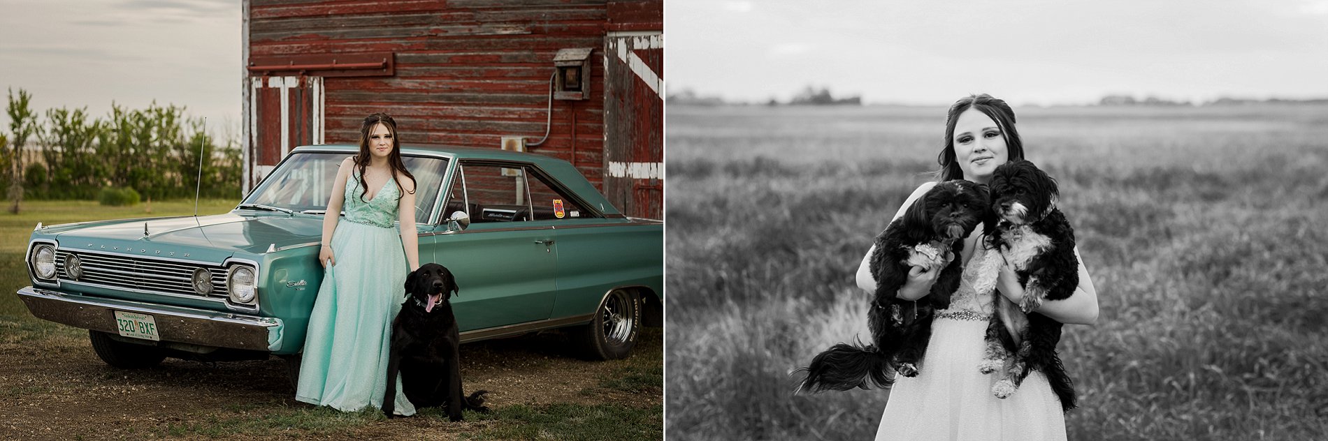 High school girl in a teal grad dress poses with her dogs for her rural Saskatoon graduation photos.