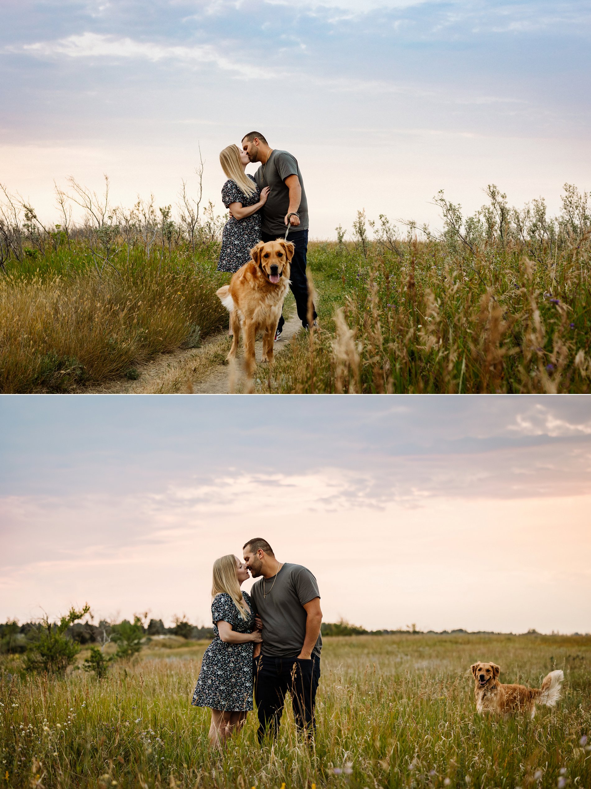 A couple and their dog pose for engagement photos in a field at sunset in Saskatoon, Saskatchewan.